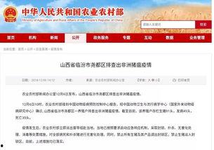 临汾爆料最新新闻网,最新新闻网聚焦热点事件，揭秘背后真相