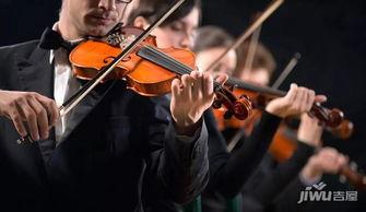 光遇最新小提琴爆料,神秘小提琴揭秘，探寻音乐与梦境的交织之旅