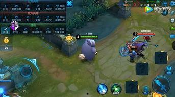 王者最新爆料猫萌,王者峡谷萌宠来袭，萌动你的心弦！