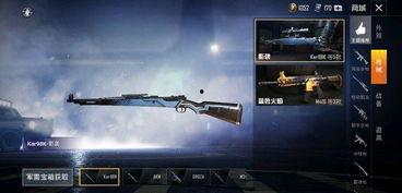 最新枪皮肤爆料和平精英,揭秘和平精英最新枪皮肤爆料