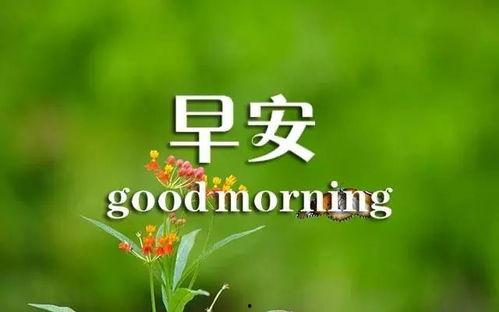 早安最新爆料图片大全,最新图片大全揭秘瞬间